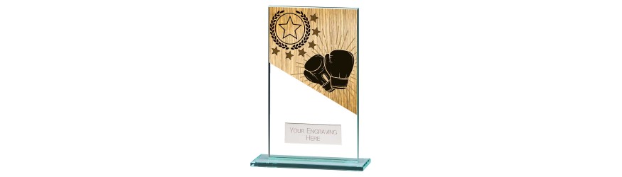 MUSTANG BOXING GLASS TROPHY - 5 SIZES - 11CM - 18CM MUSTANG BOXING GLASS TROPHY - 5 SIZES - 11CM - 18CM